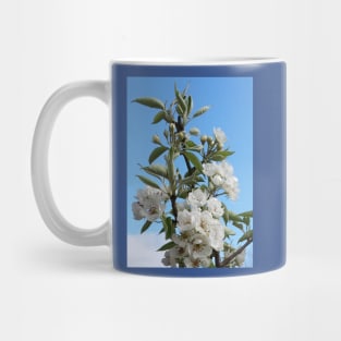 White blossom in spring. Mug